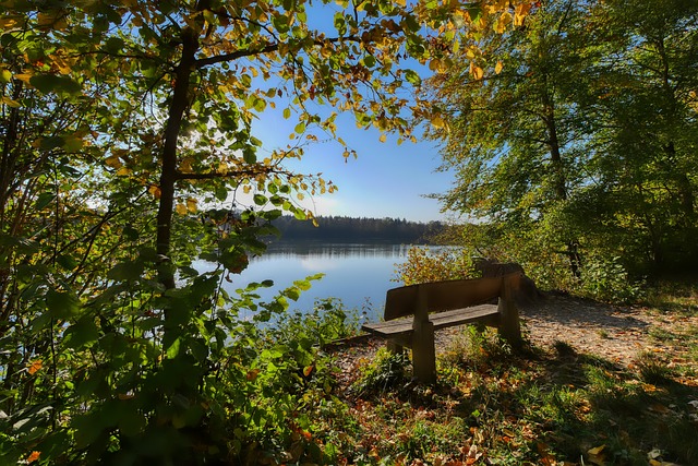 技术的迭代 技术的迭代