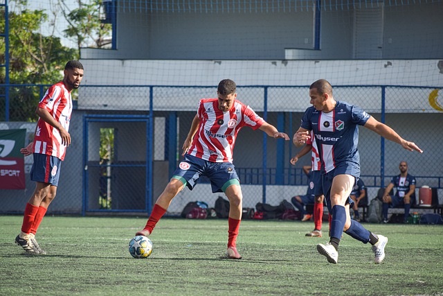 对比与启示 对比与启示