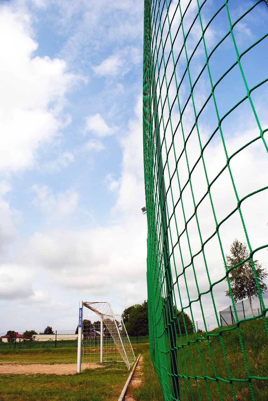 够更有效地 够更有效地