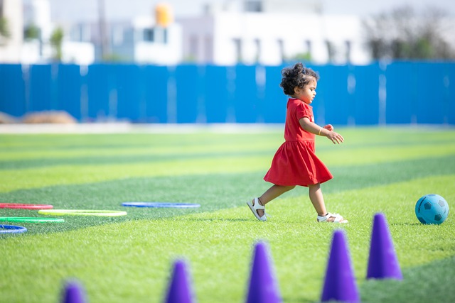 但只要坚持 但只要坚持