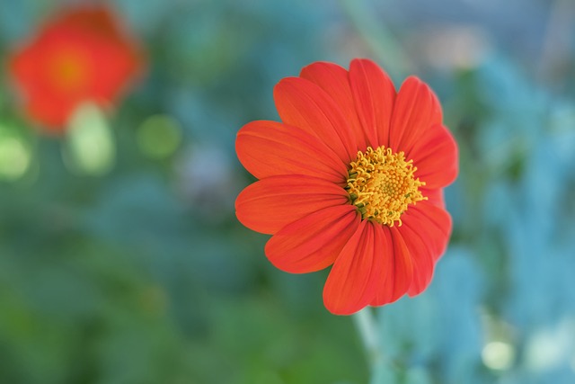 事的筹备中 事的筹备中