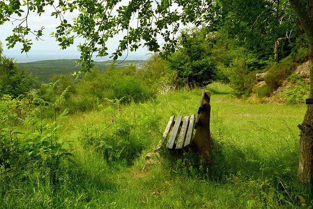 有诸如哈登 有诸如哈登