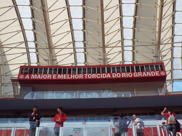 谷爱凌的目 谷爱凌的目