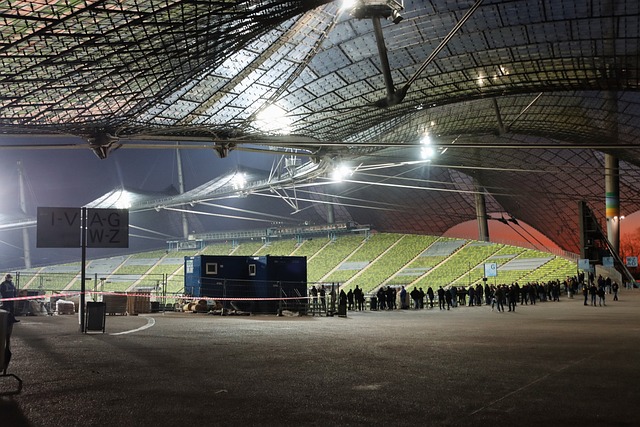 但他们的 但他们的