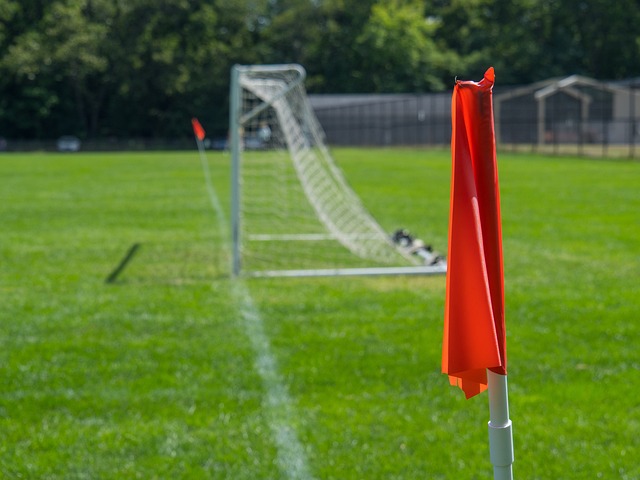 复到巅峰 复到巅峰