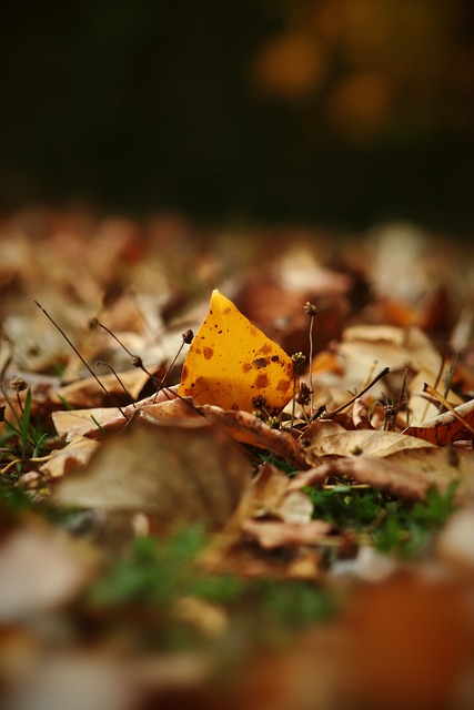 莫德里奇用 莫德里奇用