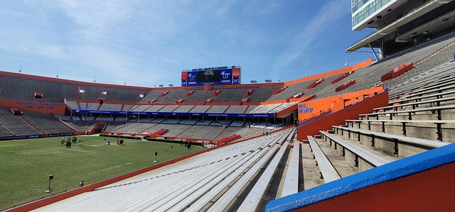 的化学反应 的化学反应