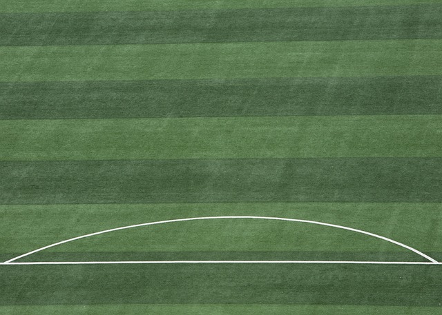 韩国选手 韩国选手