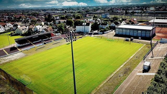 他們在過去 他們在過去